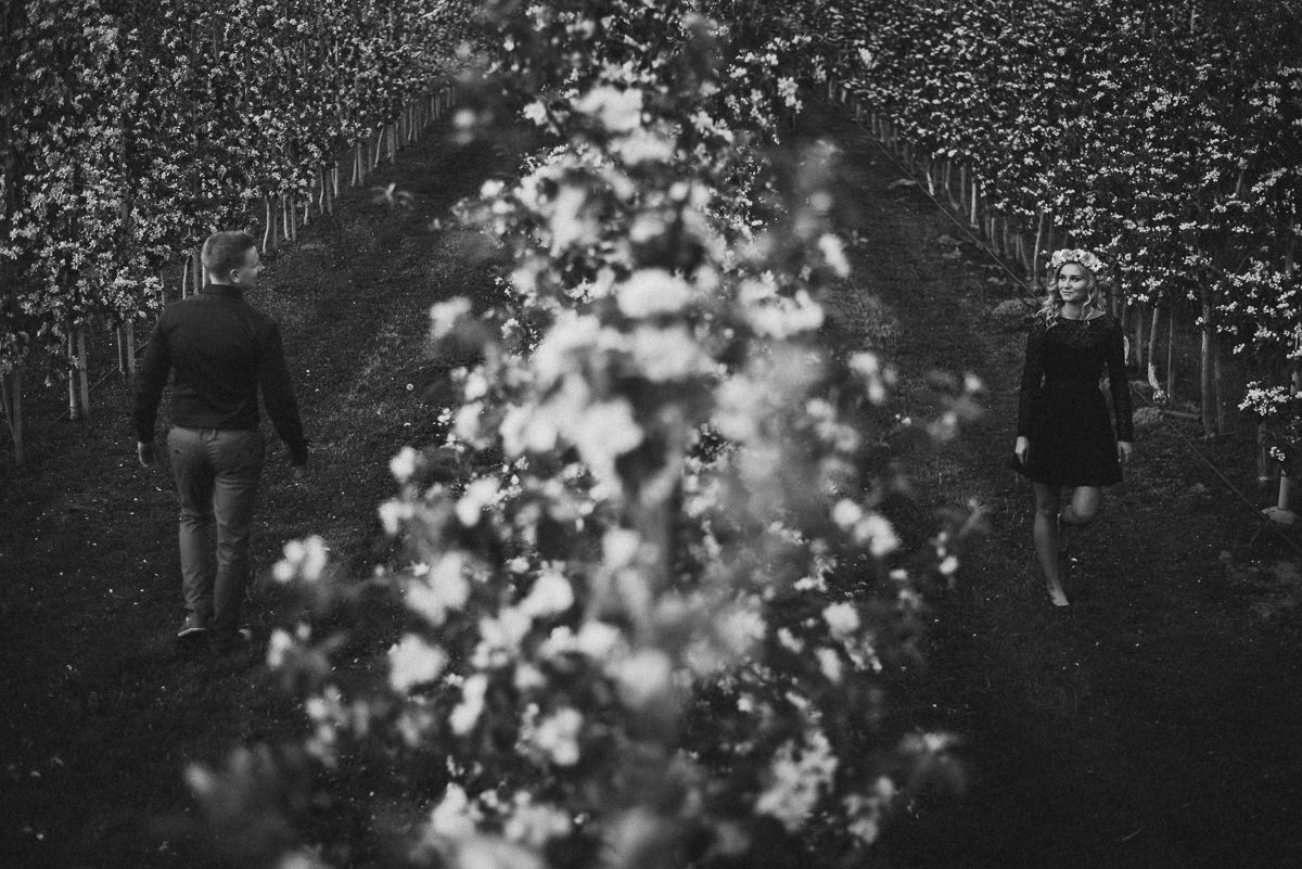Para spacerujaca po sadzie jablkowym